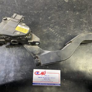 Pedal Acelerador Eletrônico Volkswagen Passat