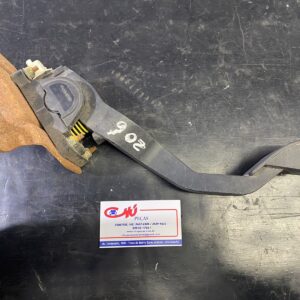 Pedal Acelerador Eletrônico Peugeot 206