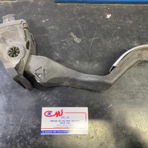 Pedal Acelerador Eletrônico Peugeot 307